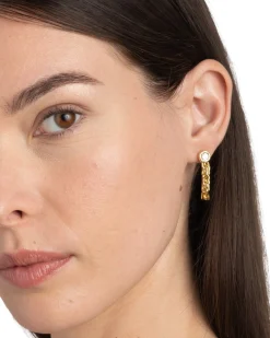 Asterales Chain Linked Front Back Earring