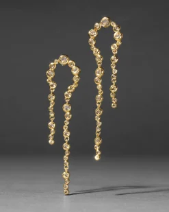 Asterales Gold Arched Long Earring