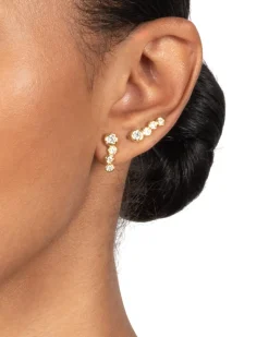 Asterales Gold Bar Earring