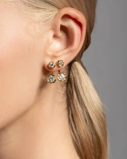 Asterales Gold Molten Front Back Earring
