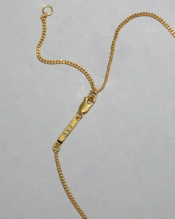 Asterales Gold Solitaire Necklace