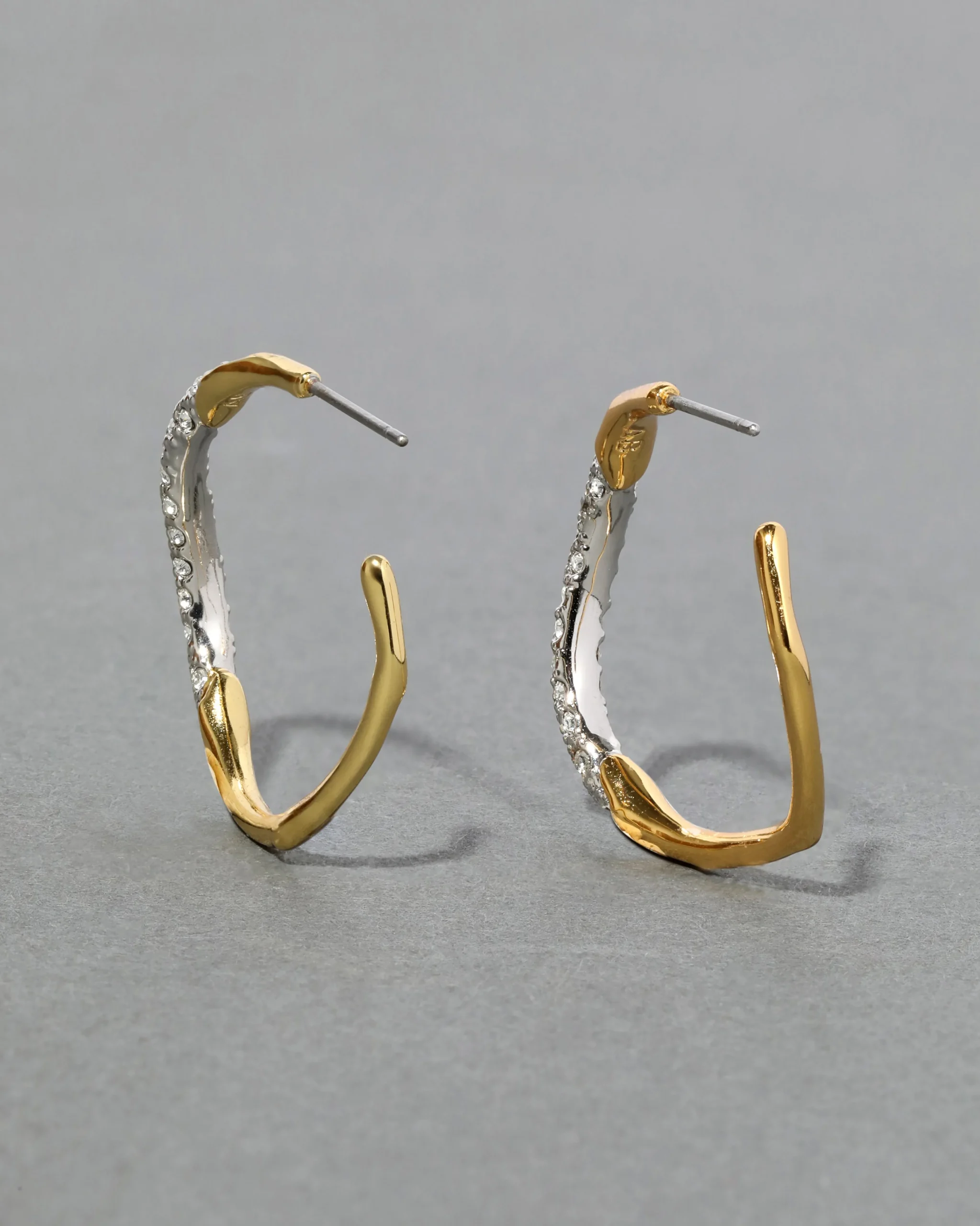Gold Two Tone Pave Hoop Earring