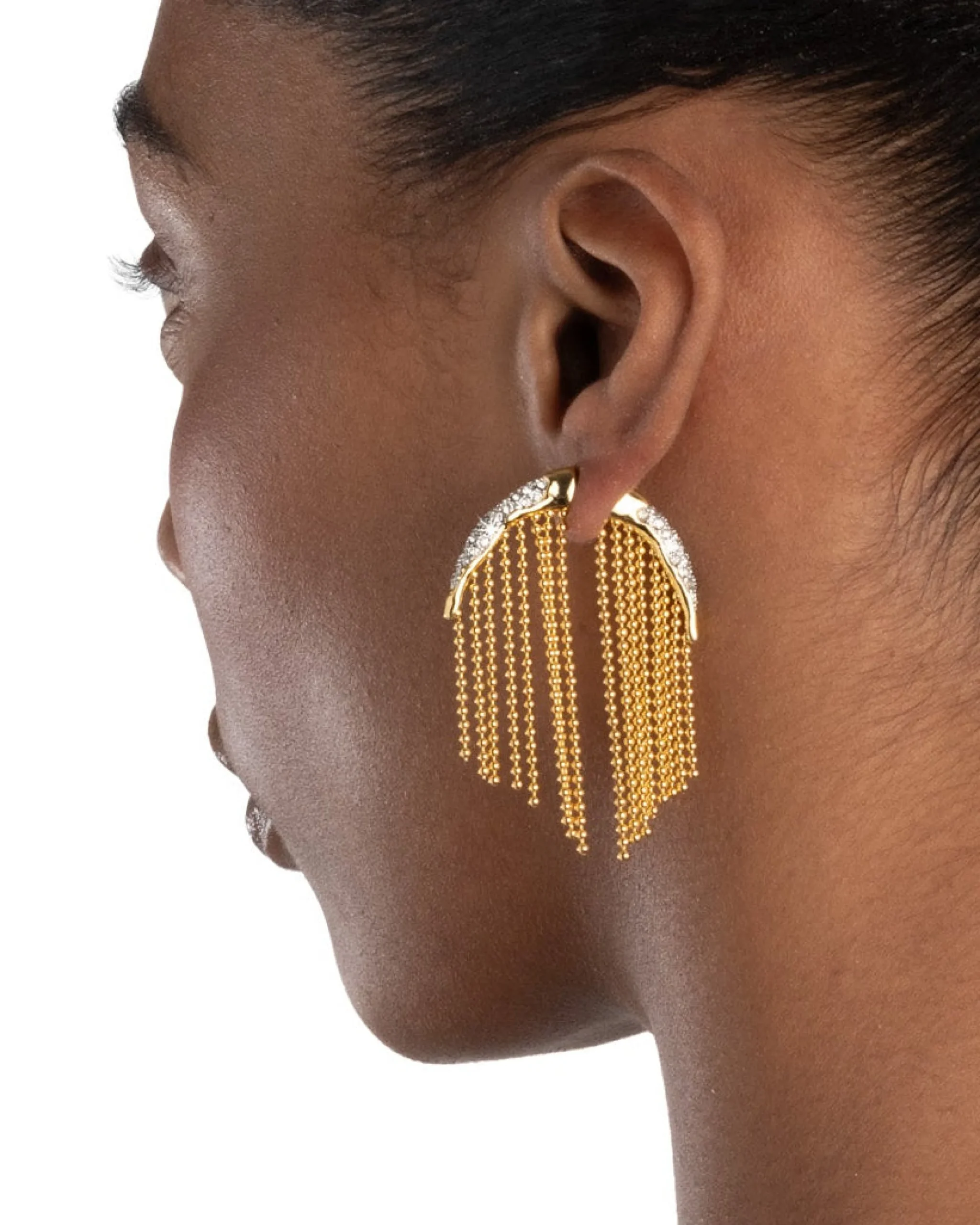 Solanales Crystal Fringe Front Back Earring