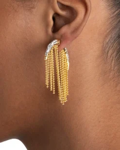 Solanales Crystal Fringe Front Back Earring