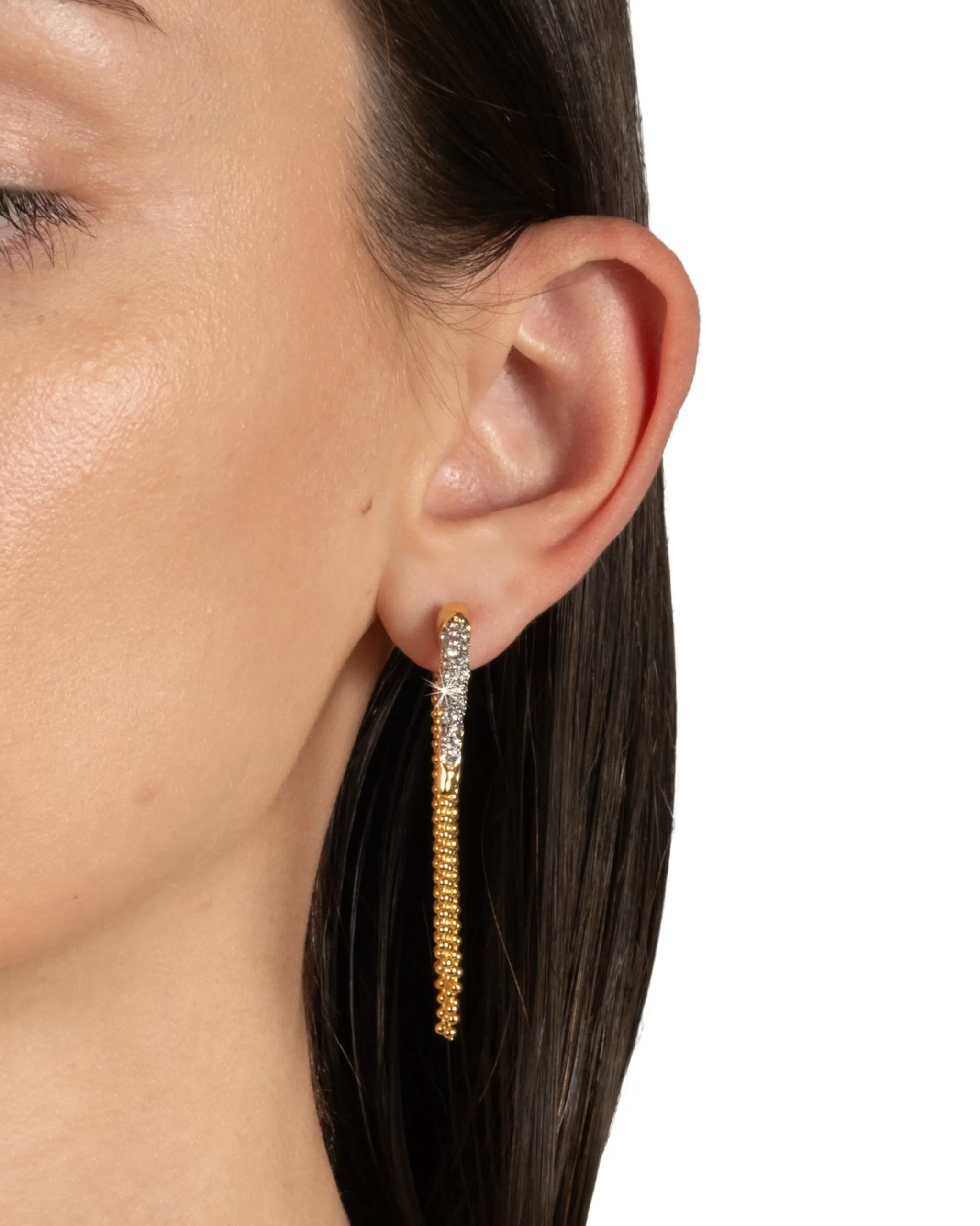 Solanales Crystal Fringe Front Back Earring