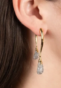 Solanales Crystal Front Back Double Drop Earring- Gold