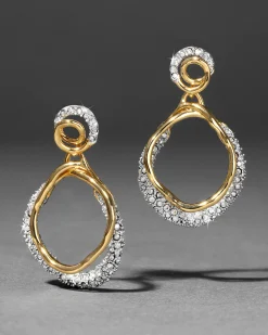 Solanales Gold Crystal Orbit Drop Post Earring