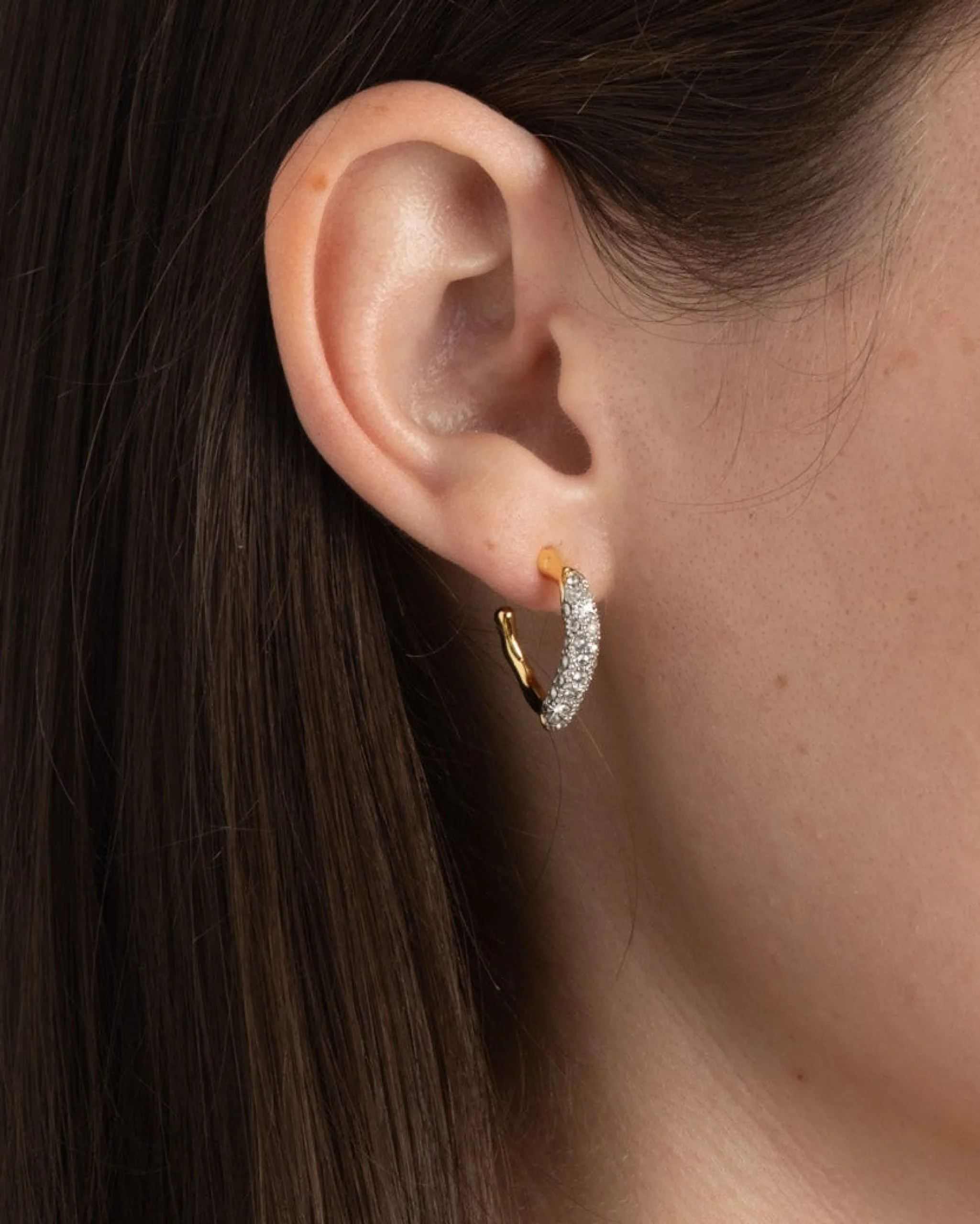 Solanales Gold Crystal Twist Mini Hoop Earring