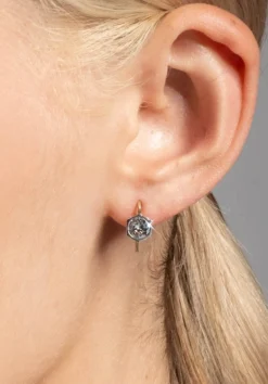 Sterling Silver & 14k Gold Petite Cut Luminous Crystal Wire Earring